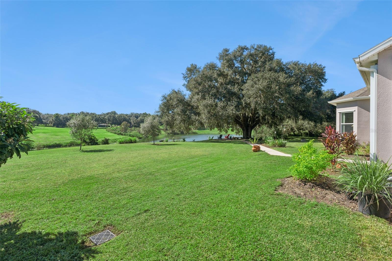 Enjoy the rolling hills and exceptional water view