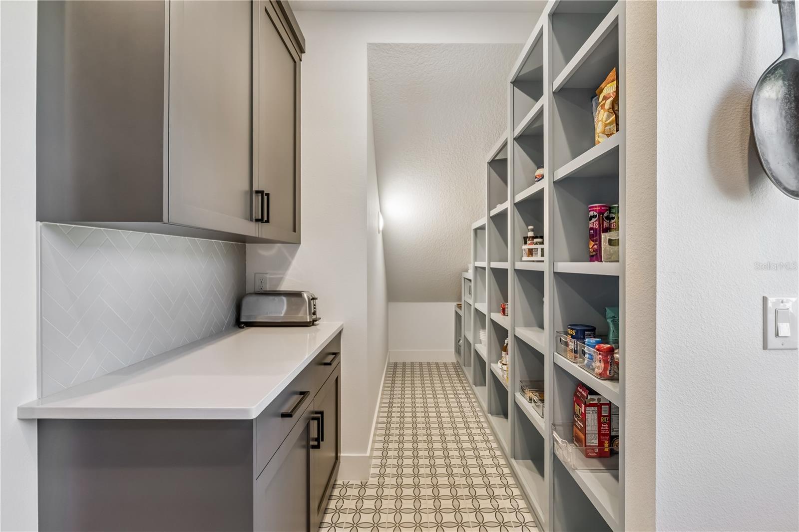 Built in pantry in the scullery