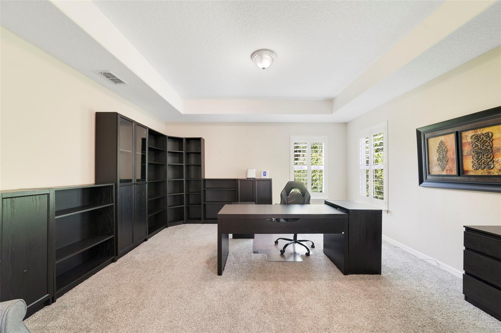 Primary Bedroom / Office  - Image #3