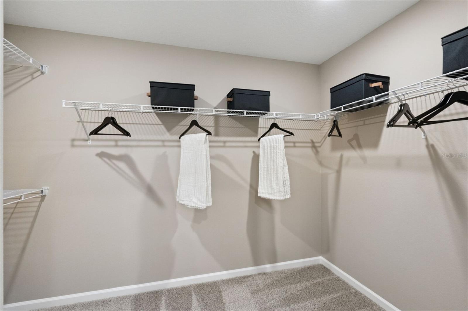 Lakeside at Satilla Zara Model Primary Walk-In Closet