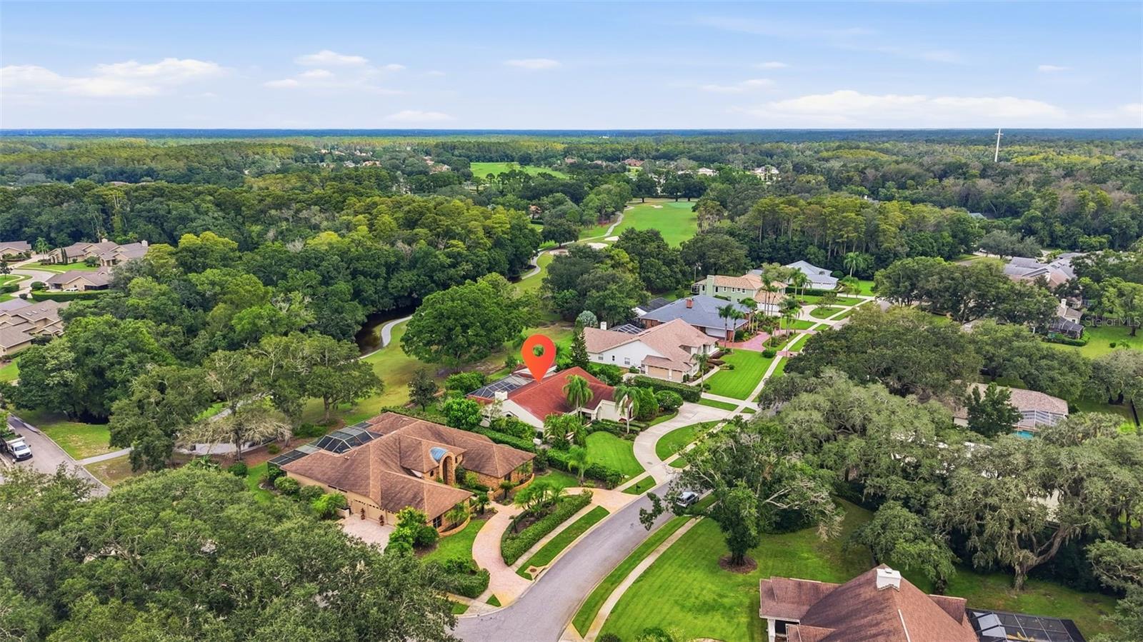 1008 ROYAL BIRKDALE DRIVE, Tarpon Springs, FL 34688