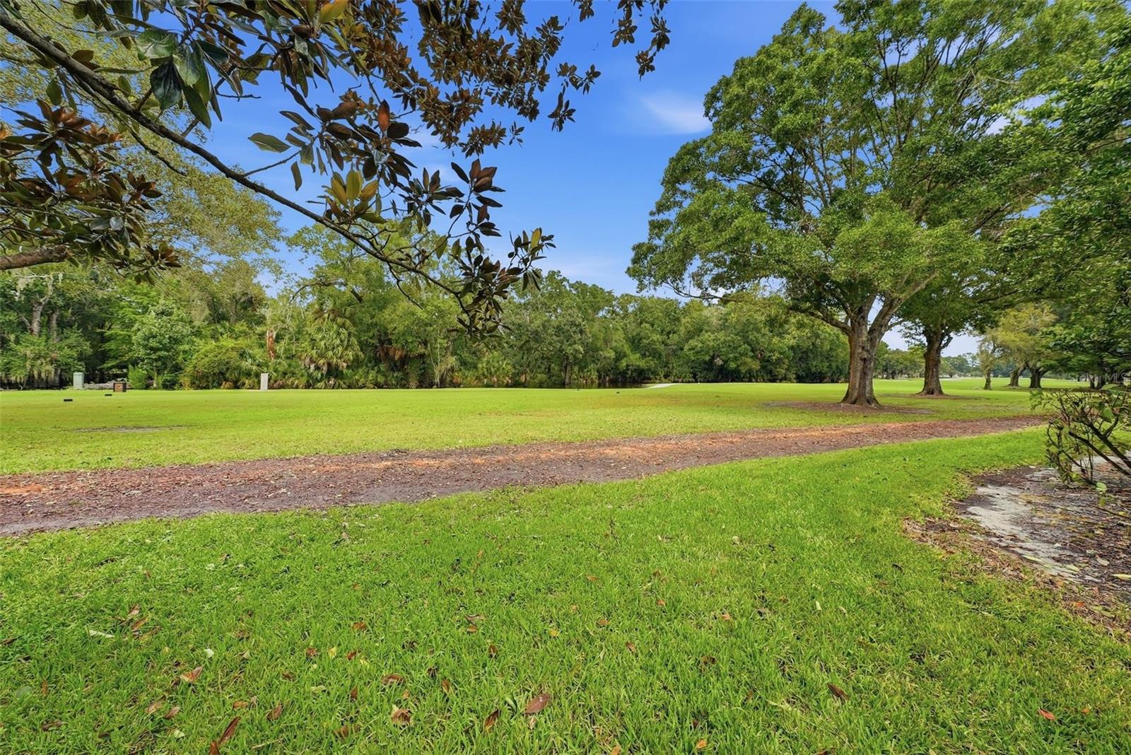 1008 ROYAL BIRKDALE DRIVE, Tarpon Springs, FL 34688