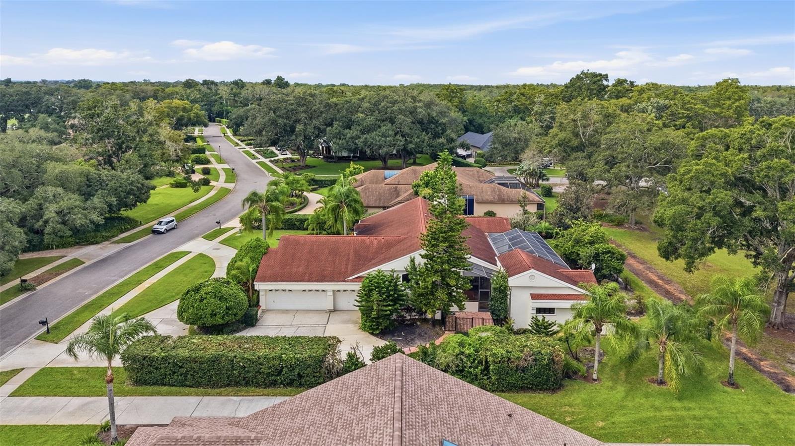 1008 ROYAL BIRKDALE DRIVE, Tarpon Springs, FL 34688