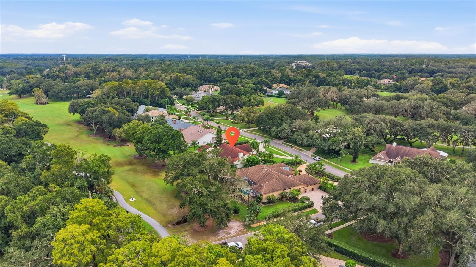 1008 ROYAL BIRKDALE DRIVE, Tarpon Springs, FL 34688