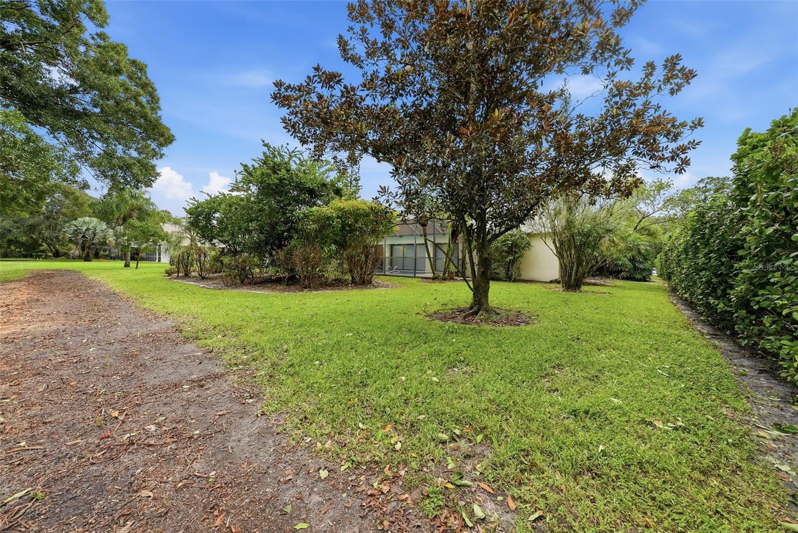 1008 ROYAL BIRKDALE DRIVE, Tarpon Springs, FL 34688