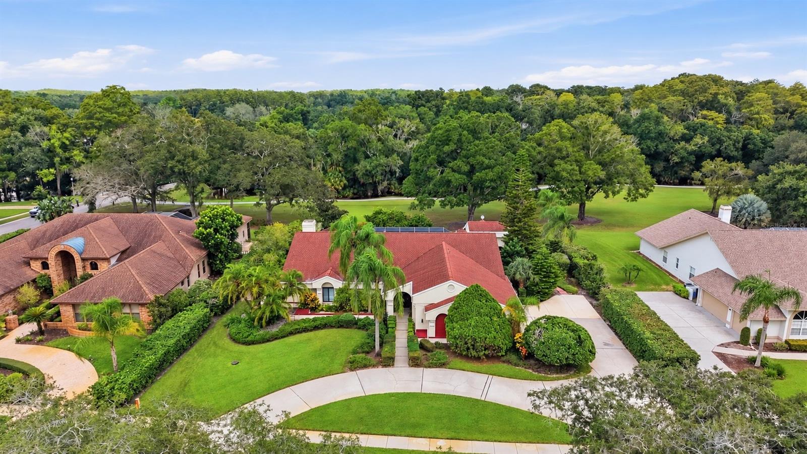 1008 ROYAL BIRKDALE DRIVE, Tarpon Springs, FL 34688