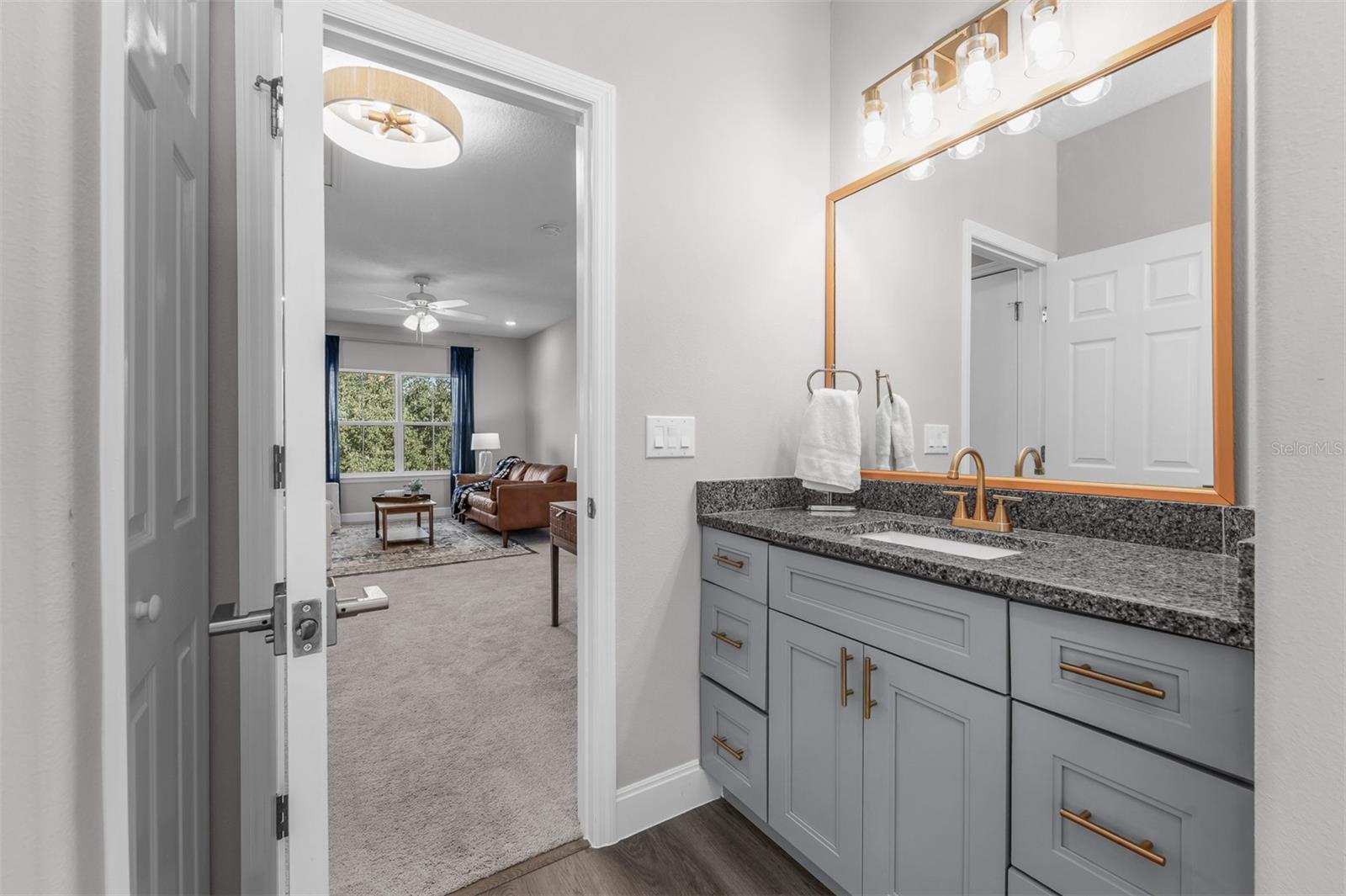 8556 MAGNIFICENT LANE, Groveland, FL 34736