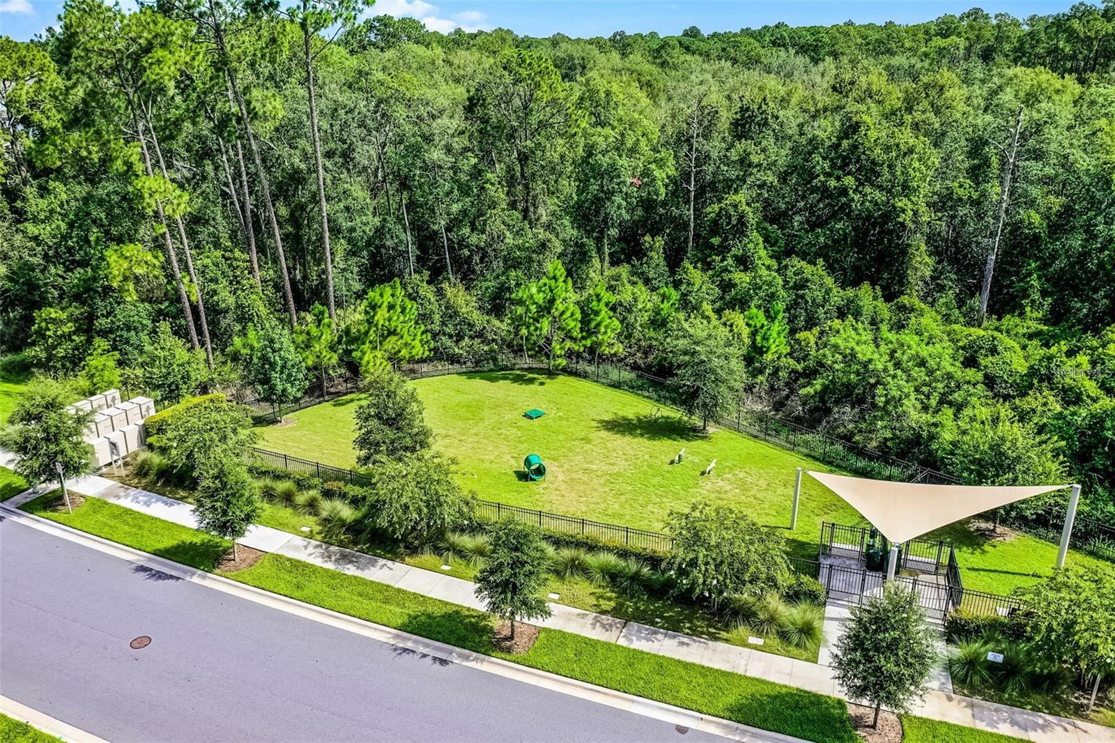 17055 SEVILLE ORANGE ROAD, Winter Garden, FL 34787