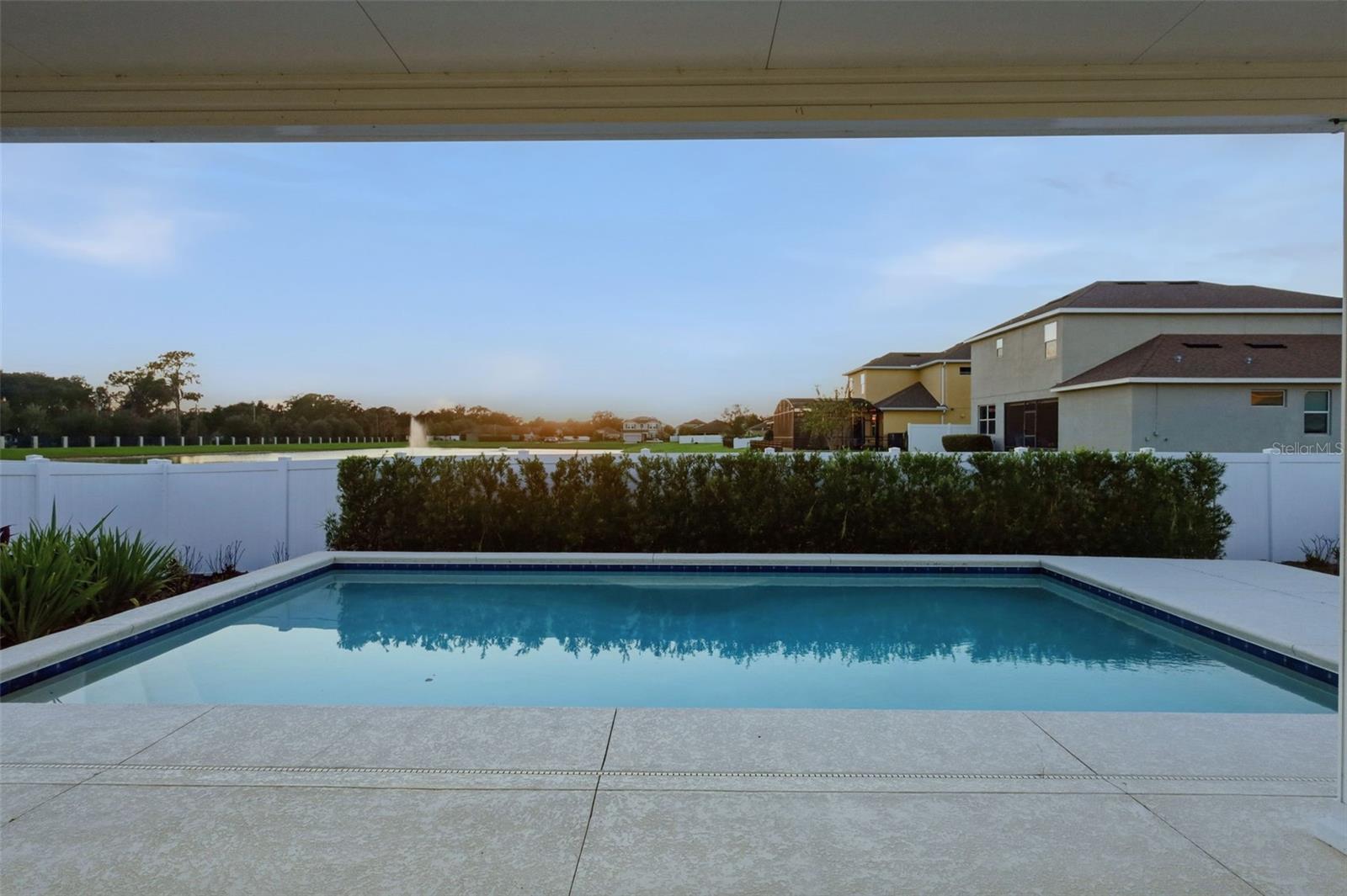 Backyard Pool