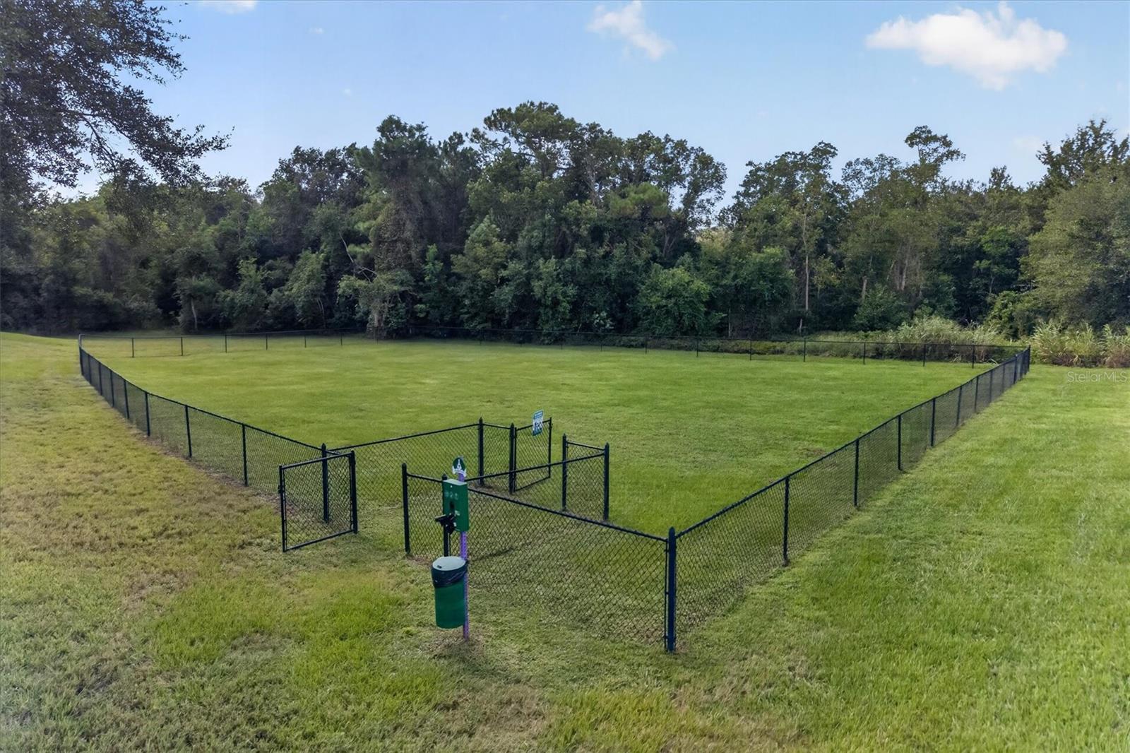 2315 NATOMA BOULEVARD, Mount Dora, FL 32757