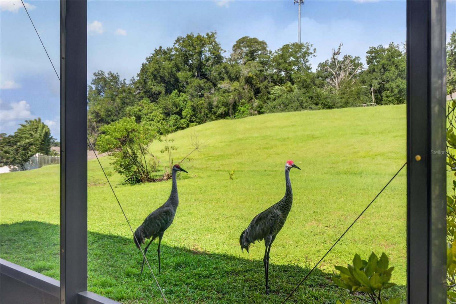Visiting neighbors