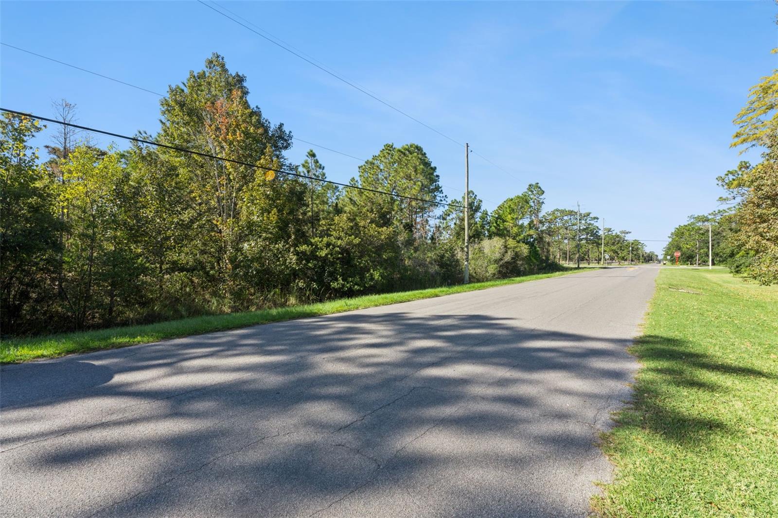 QUINELLA STREET, Orlando, FL 32833