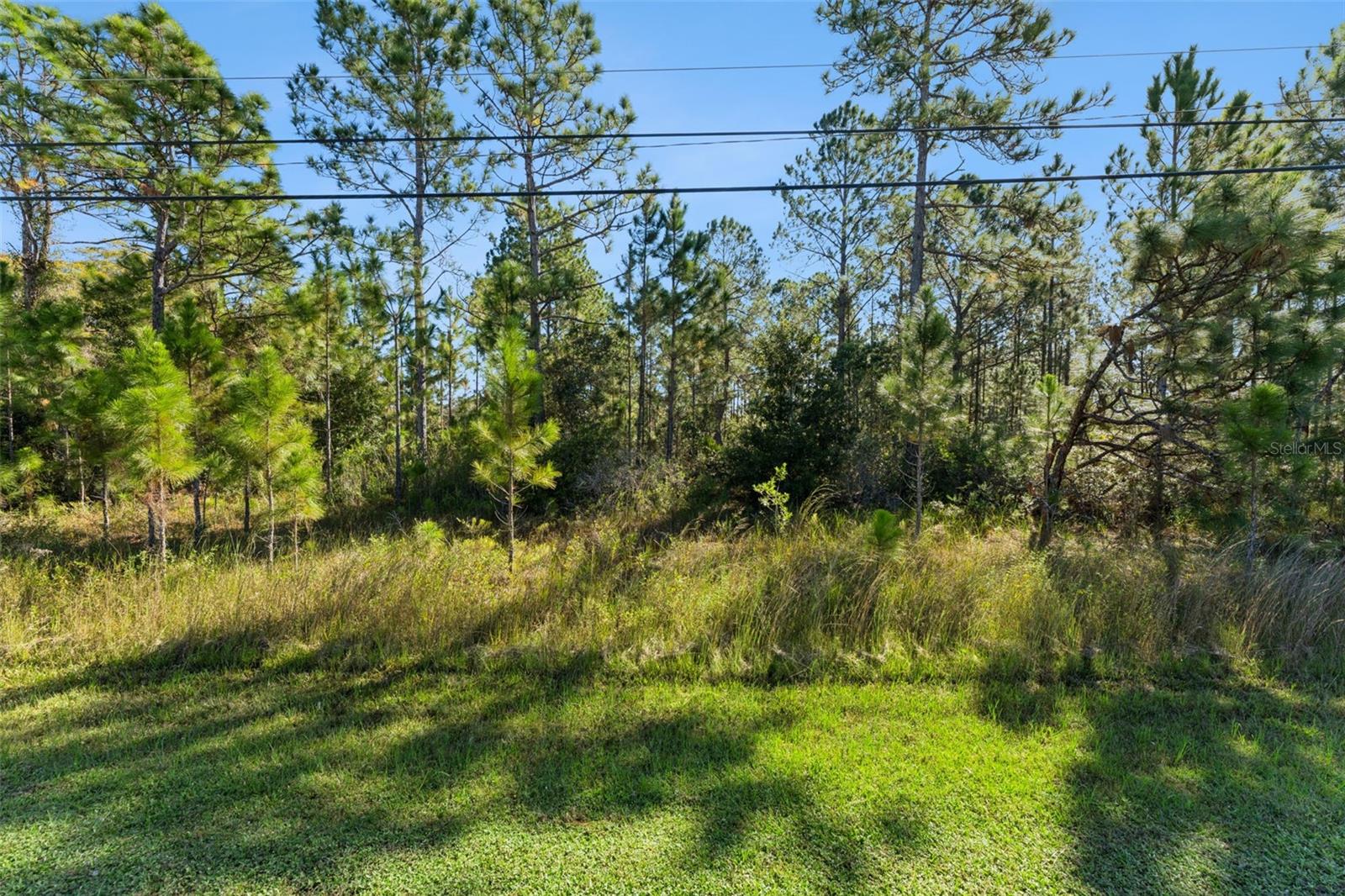QUINELLA STREET, Orlando, FL 32833