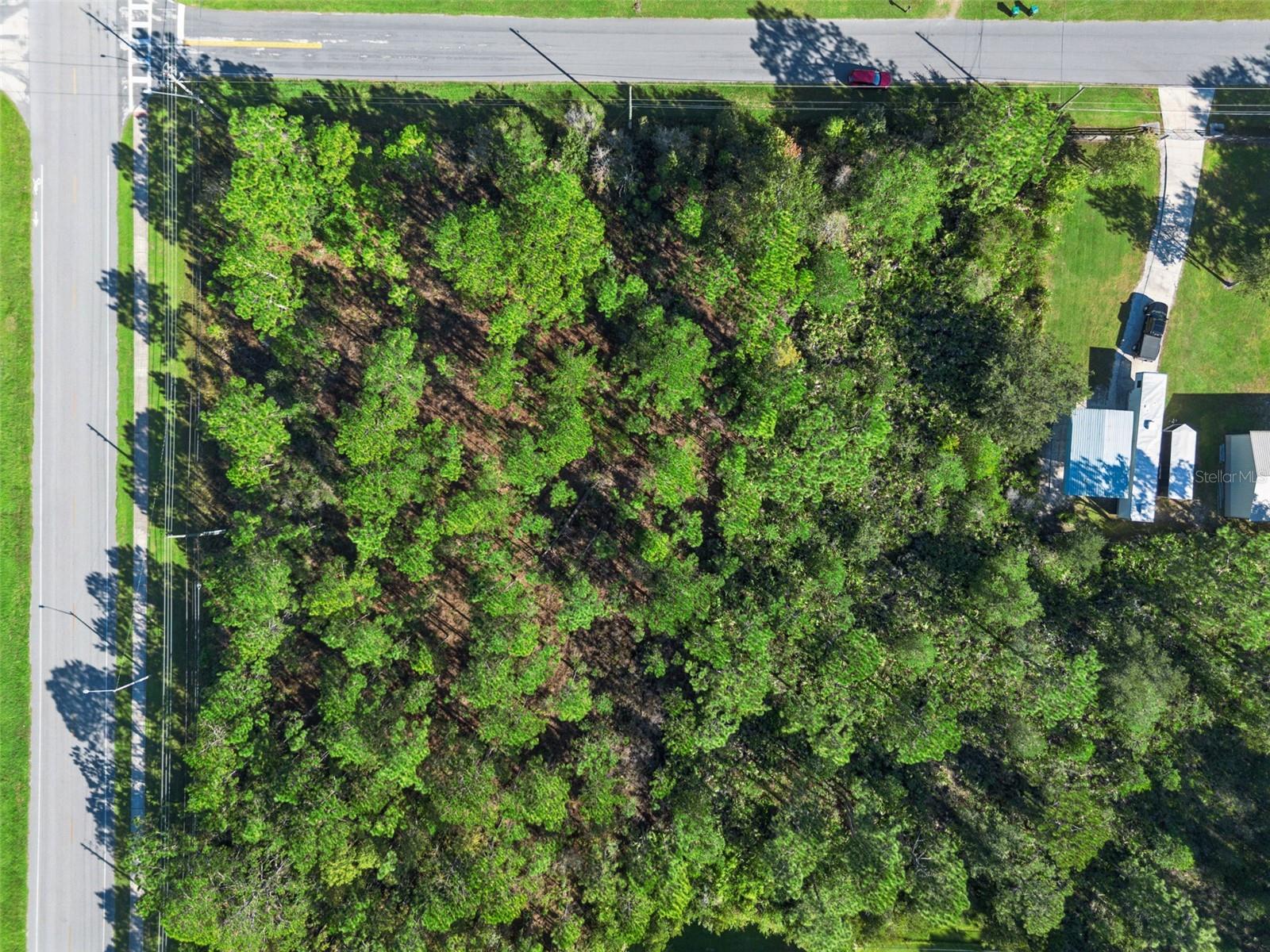 QUINELLA STREET, Orlando, FL 32833