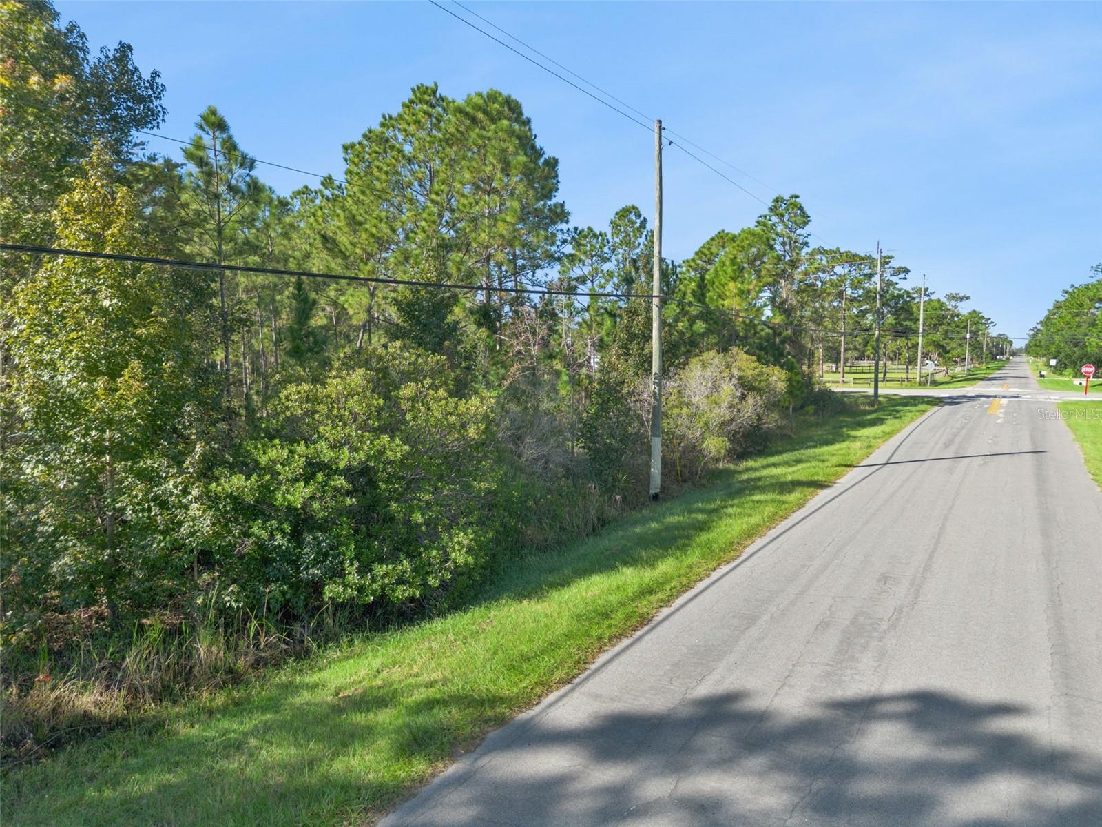 QUINELLA STREET, Orlando, FL 32833