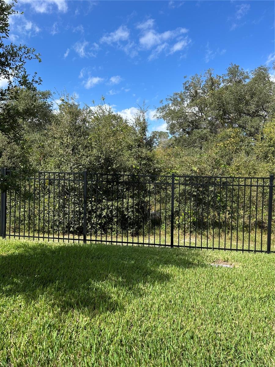 3449 TWIN FLOWER COURT, Clermont, FL 34714