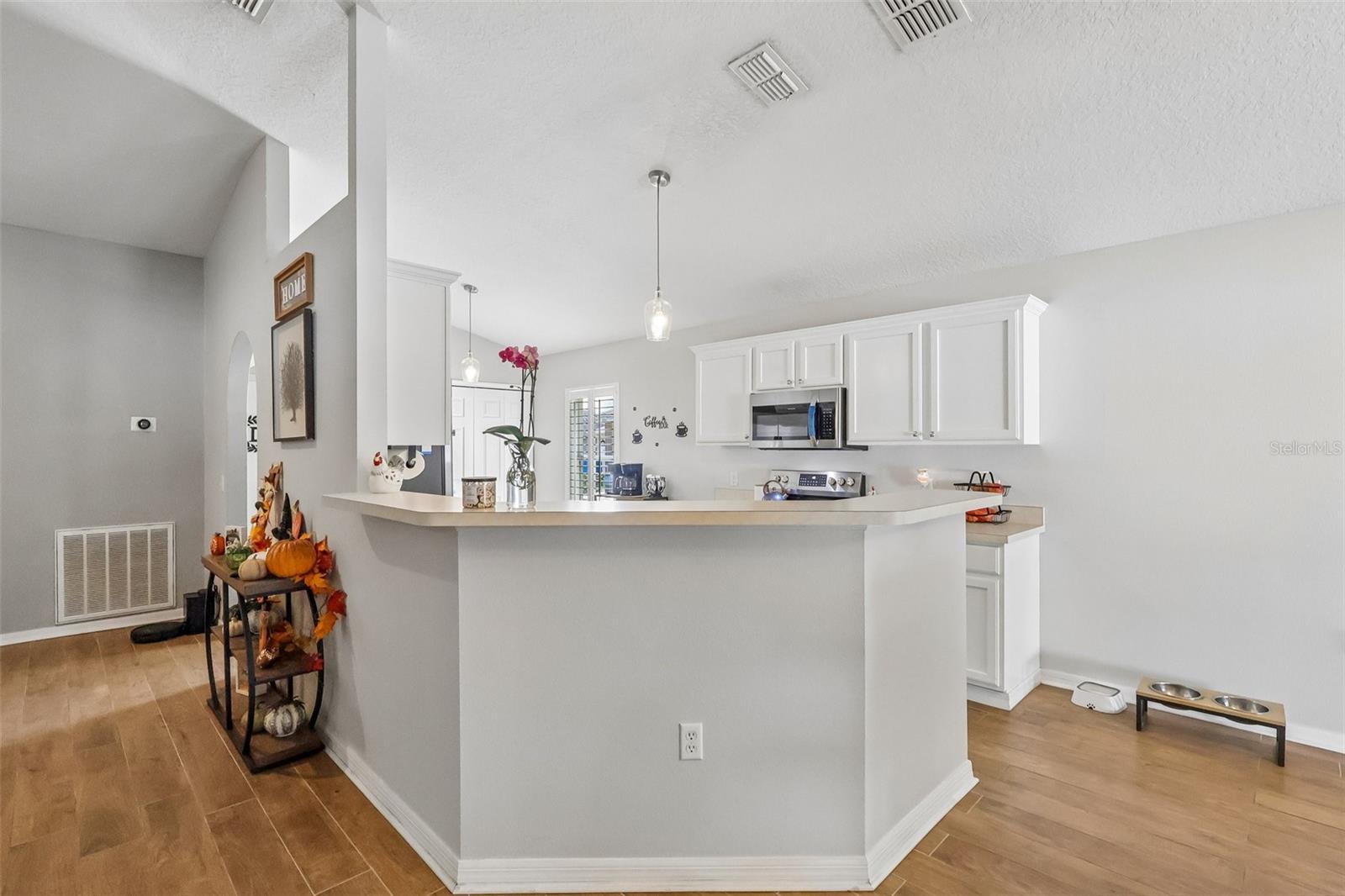 3431 WILD OCELOT COURT, Deland, FL 32724