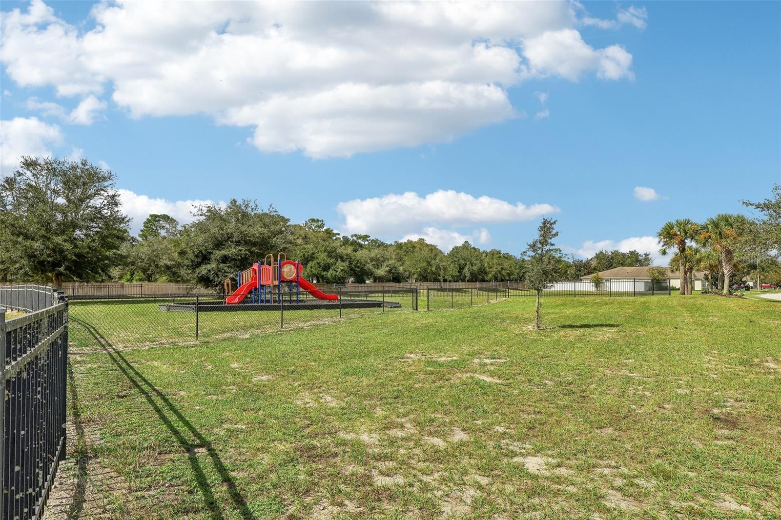 3431 WILD OCELOT COURT, Deland, FL 32724