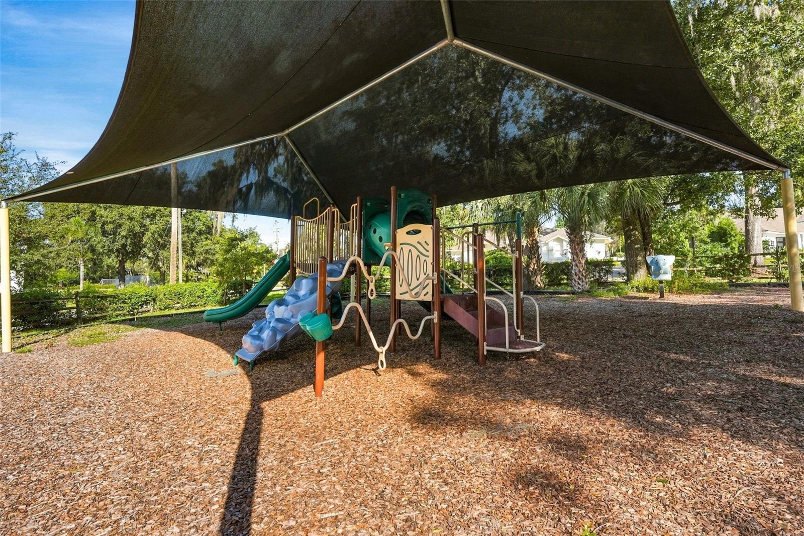 105 FOREST STREET, Windermere, FL 34786