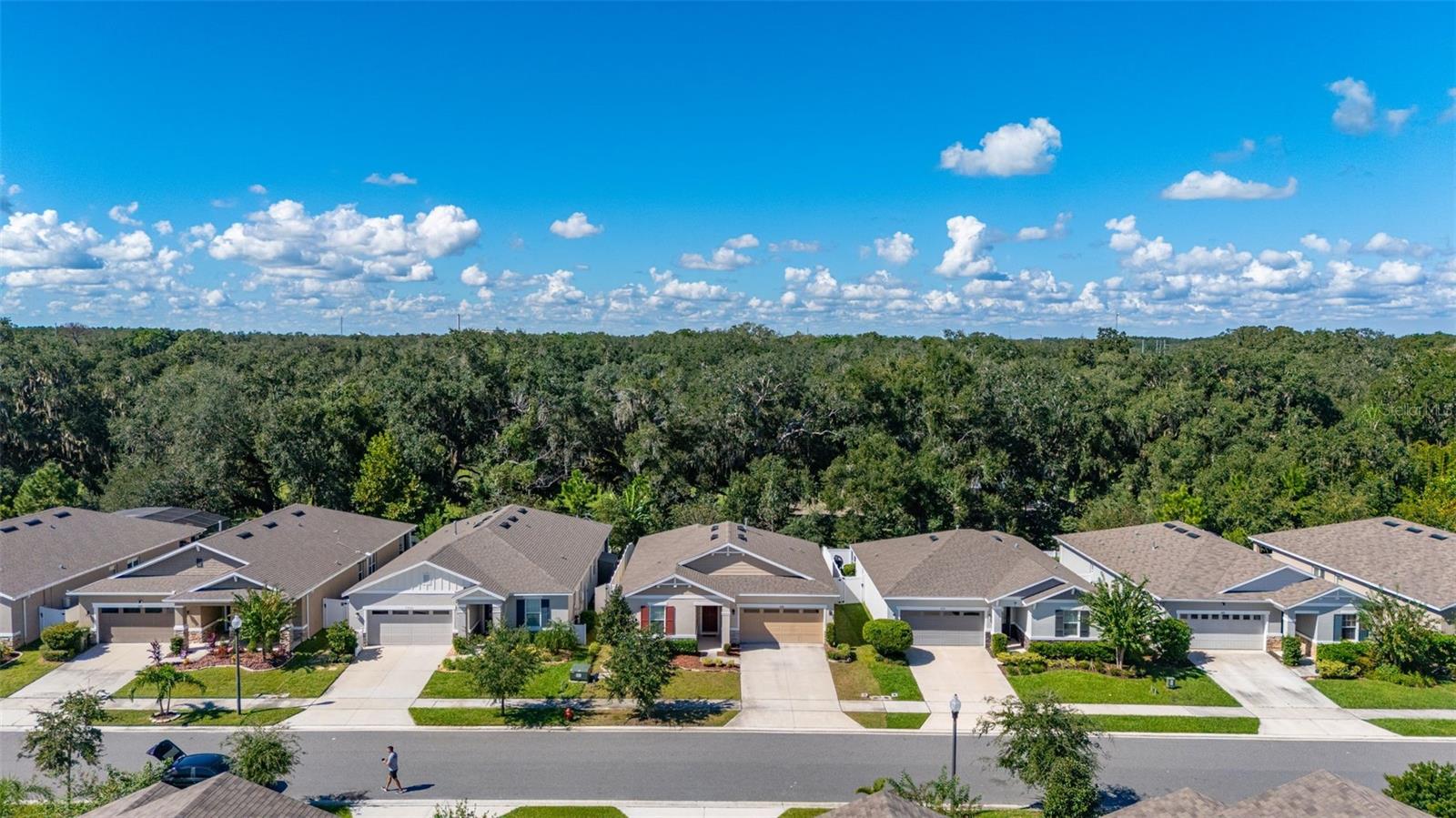5240 MEADOW SONG DRIVE, Okahumpka, FL 34762