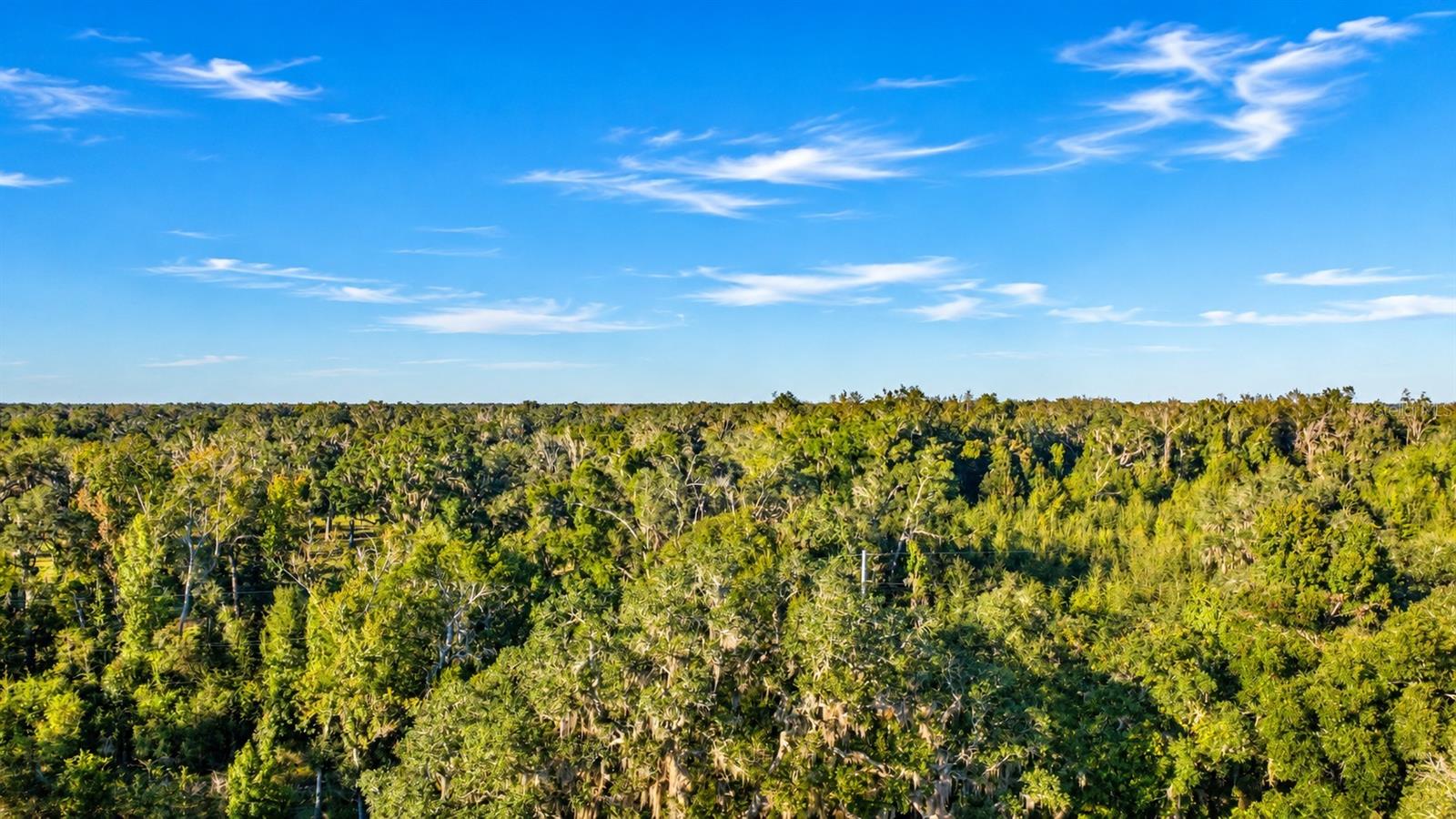 455 NE 112TH AVENUE, Old Town, FL 32680