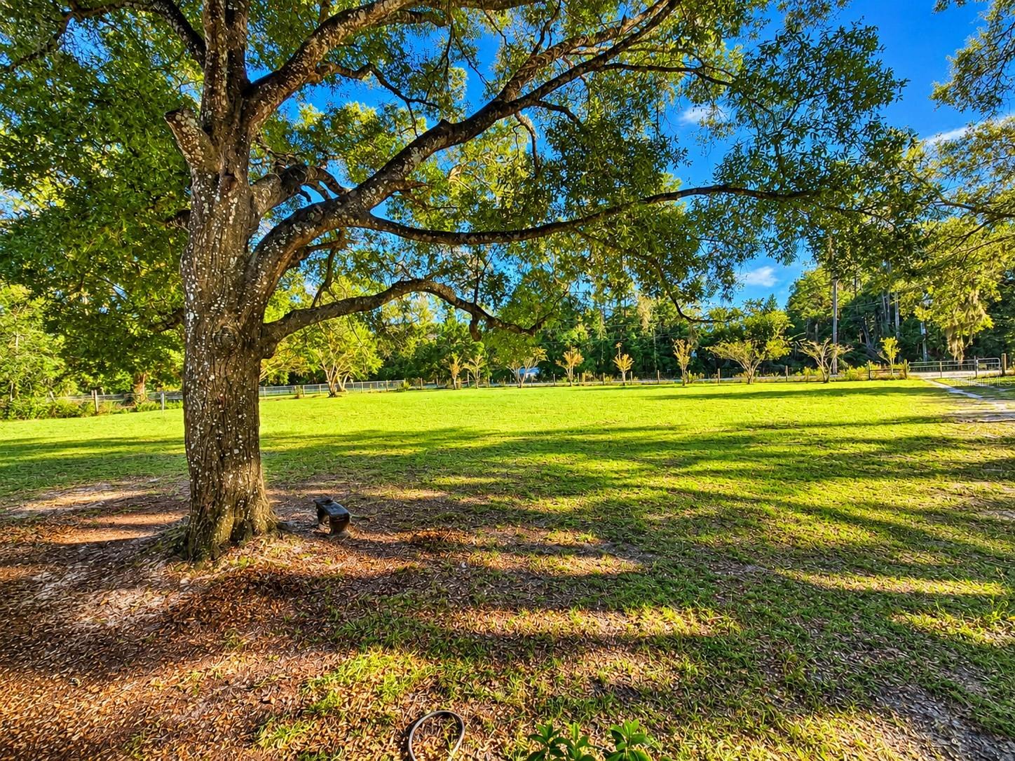455 NE 112TH AVENUE, Old Town, FL 32680