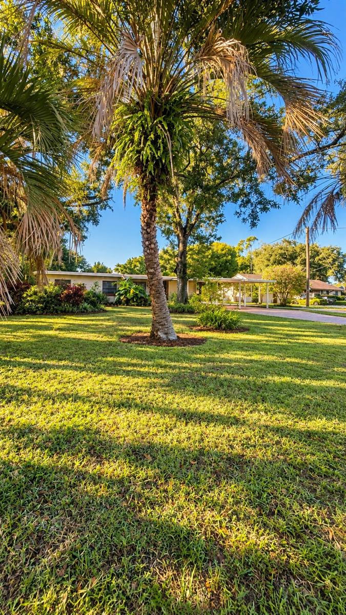 3508 CRYSTAL STREET, Gotha, FL 34734