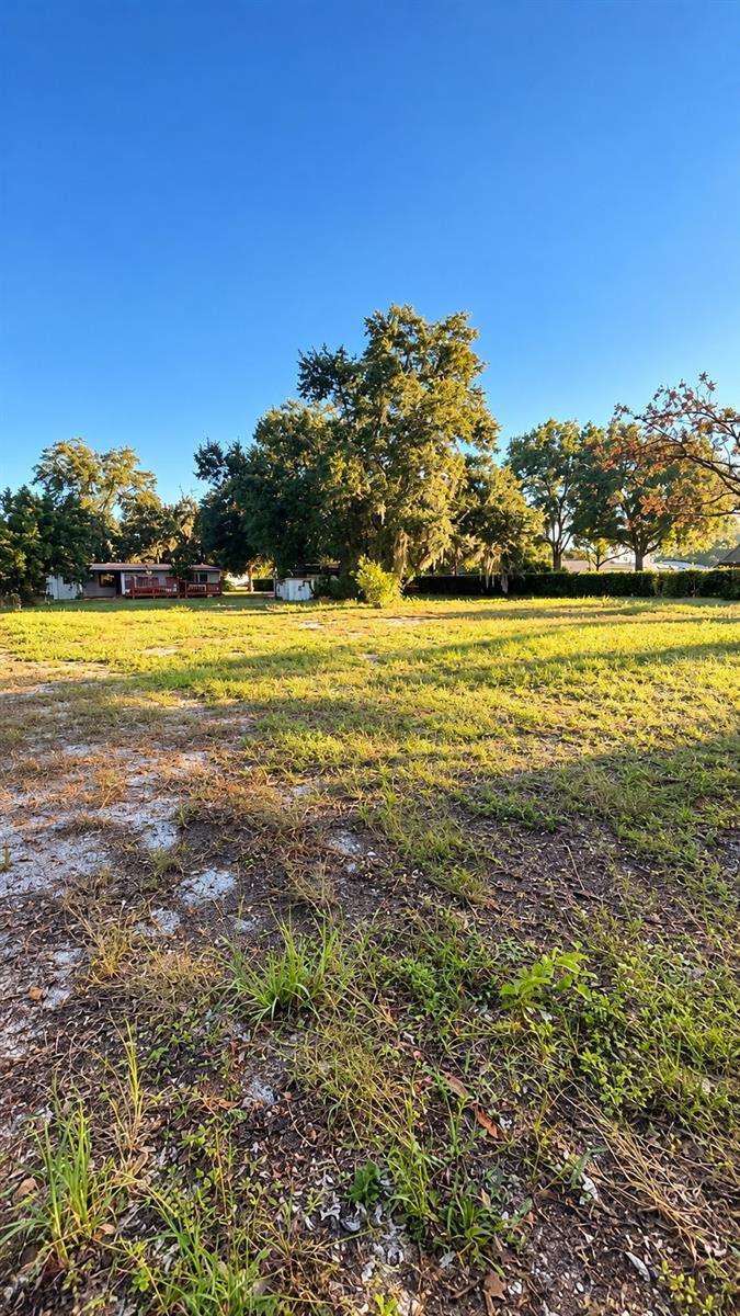3508 CRYSTAL STREET, Gotha, FL 34734