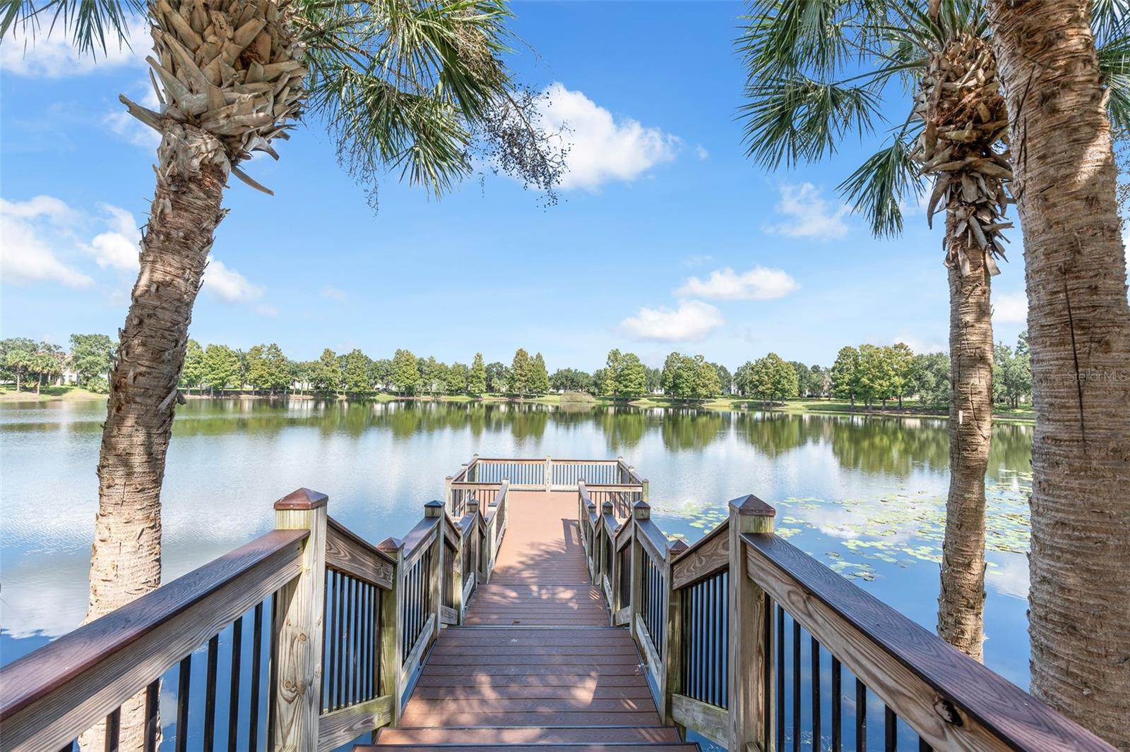4936 WISE BIRD DRIVE, Windermere, FL 34786