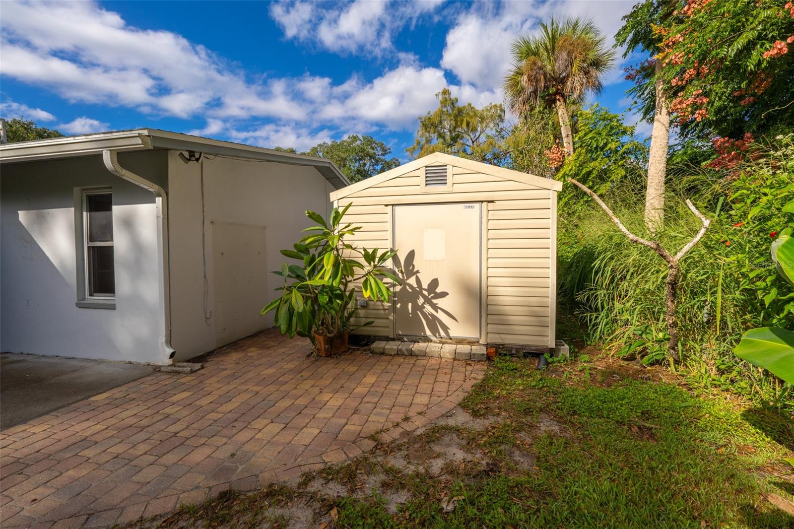 Outdoor Shed