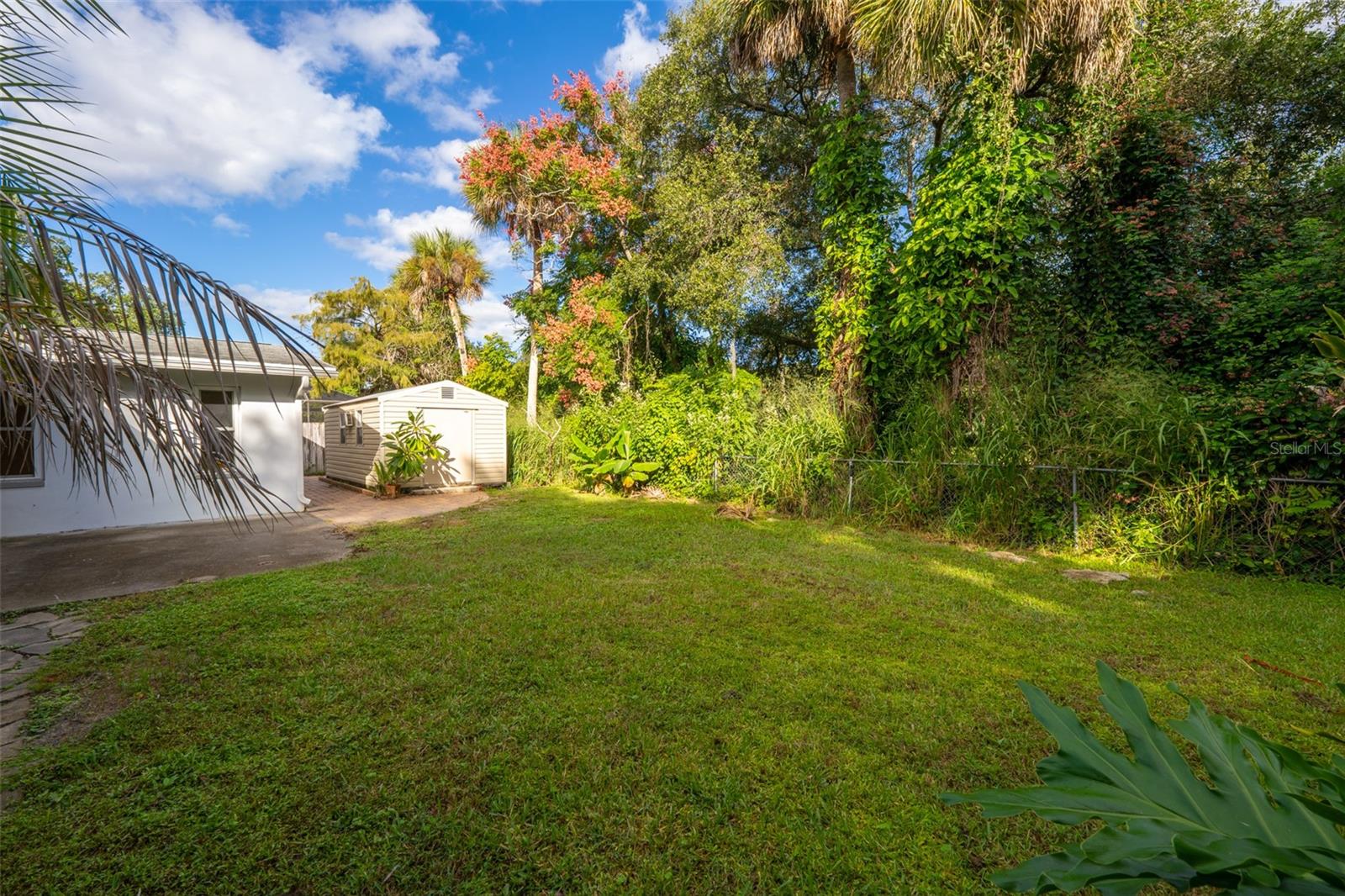 Tree-Lined Backyard
