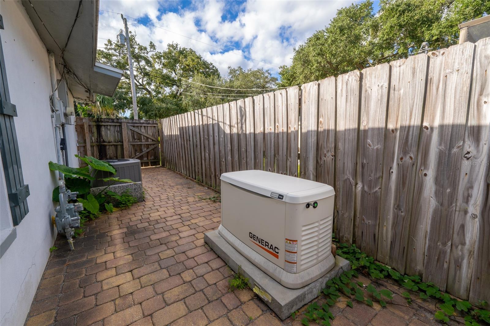 Generac Generator