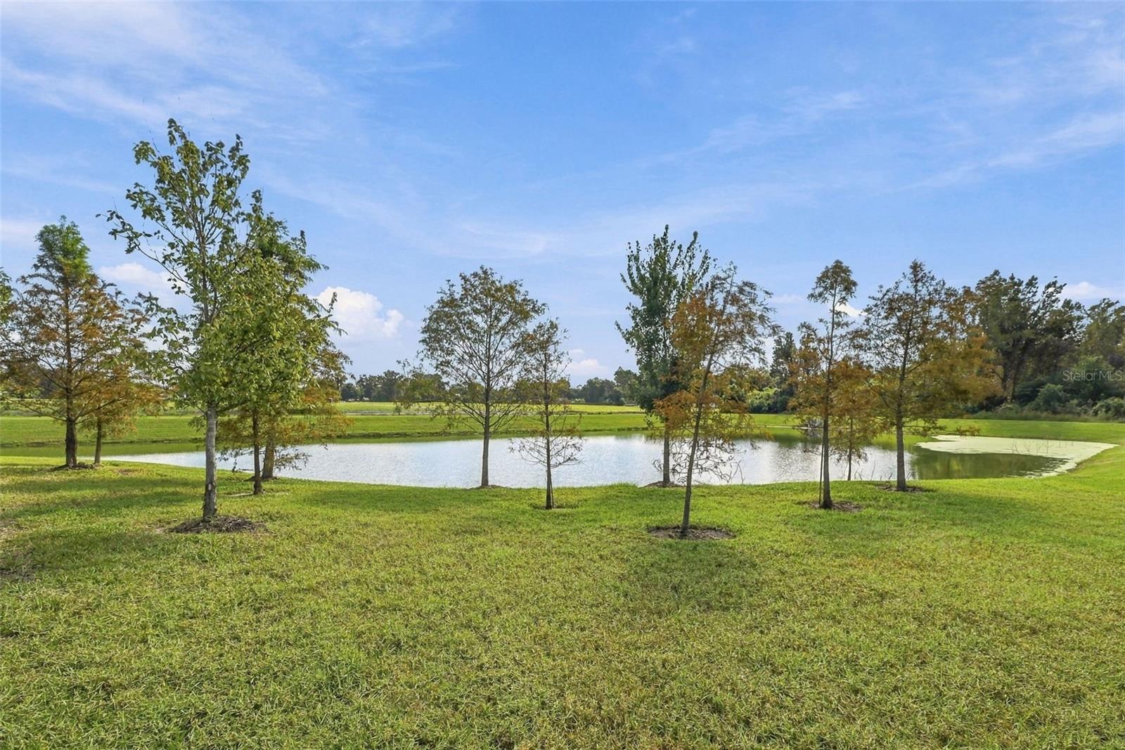 3708 RADIANT MOUNTAIN DRIVE, Plant City, FL 33565