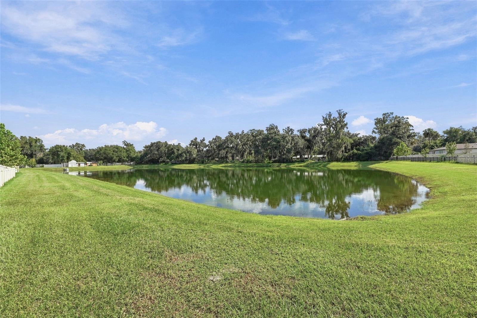 3708 RADIANT MOUNTAIN DRIVE, Plant City, FL 33565