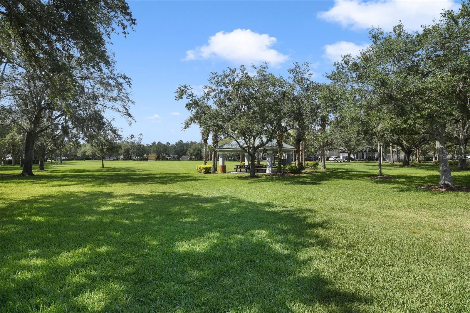 Expansive green space.