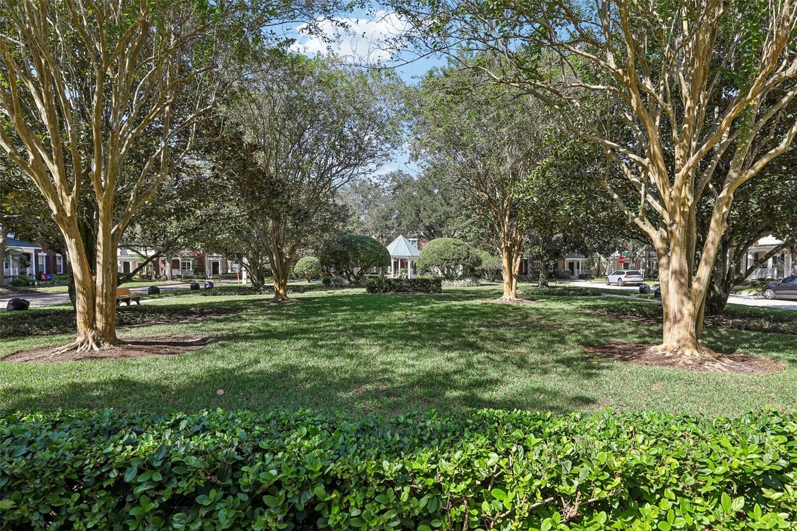Community park right across the street.