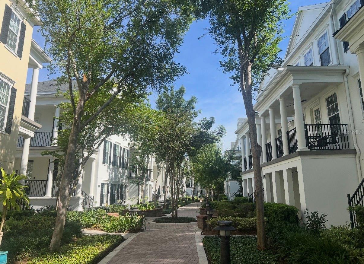 beautiful treelined mews and walking path