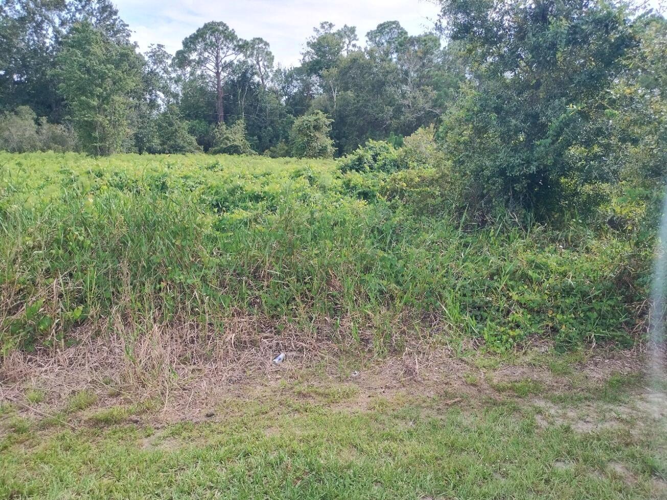 2900 W SHULA ROAD, Avon Park, FL 33825