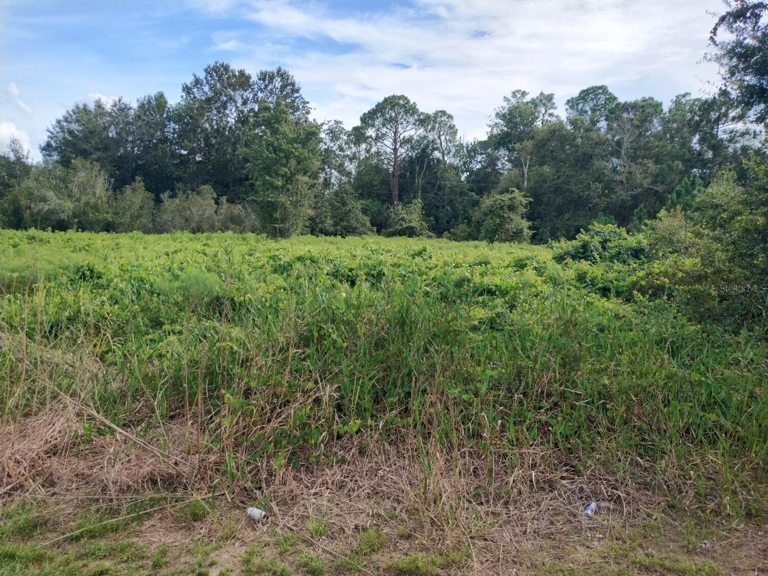 2900 W SHULA ROAD, Avon Park, FL 33825