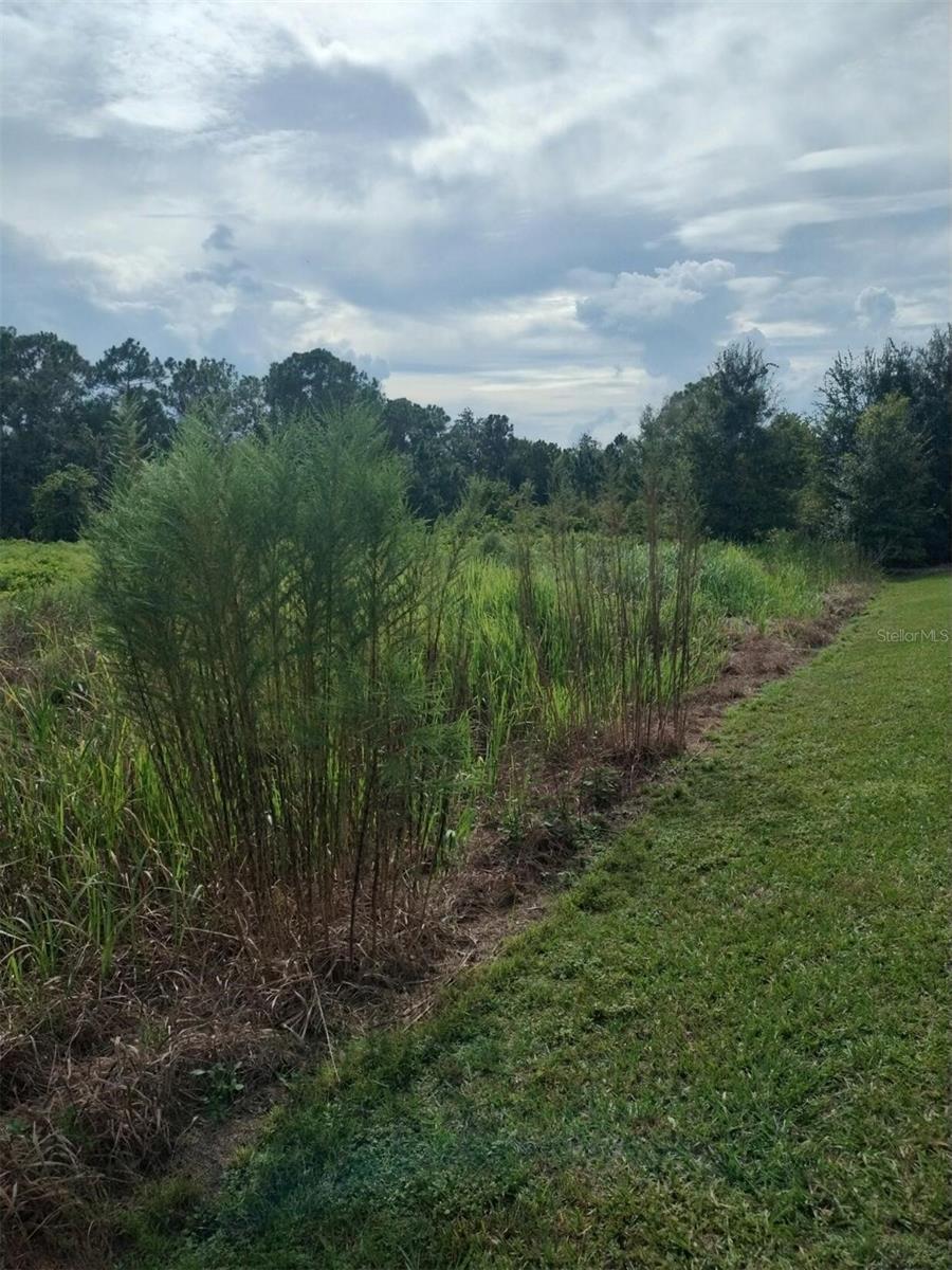 2900 W SHULA ROAD, Avon Park, FL 33825