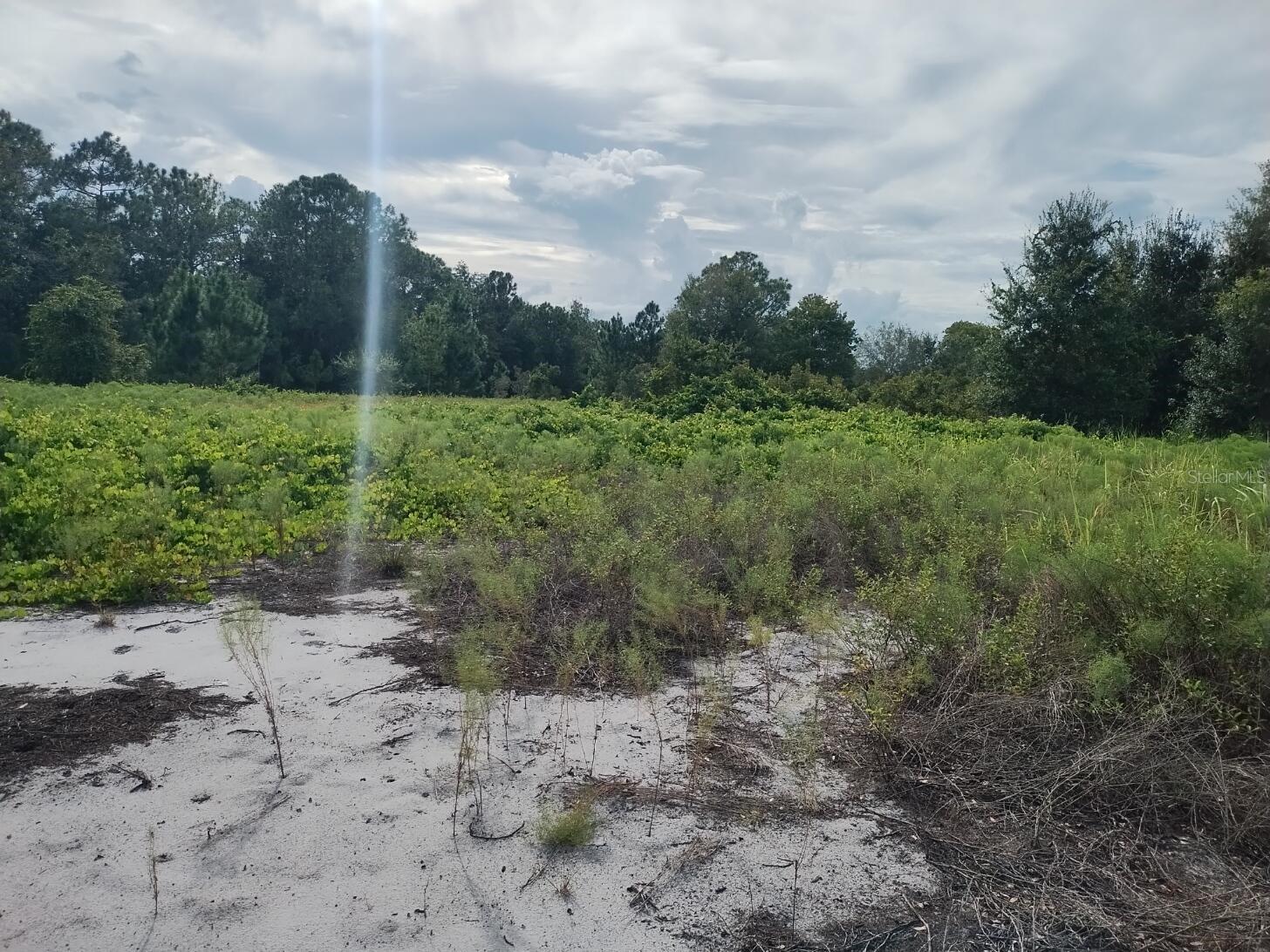 2900 W SHULA ROAD, Avon Park, FL 33825 2900 W SHULA ROAD, Avon Park, FL 33825