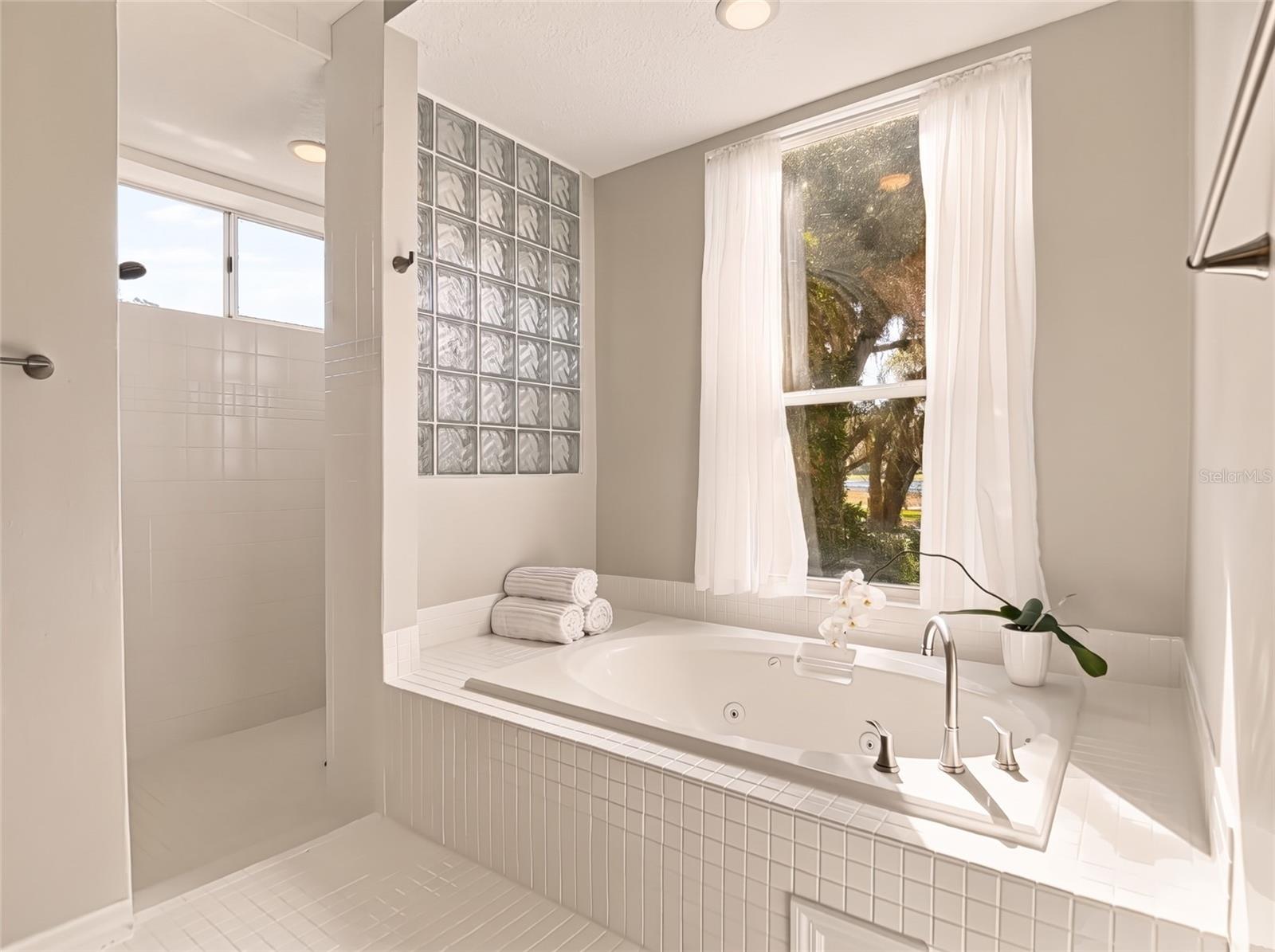 Primary Spa Bath