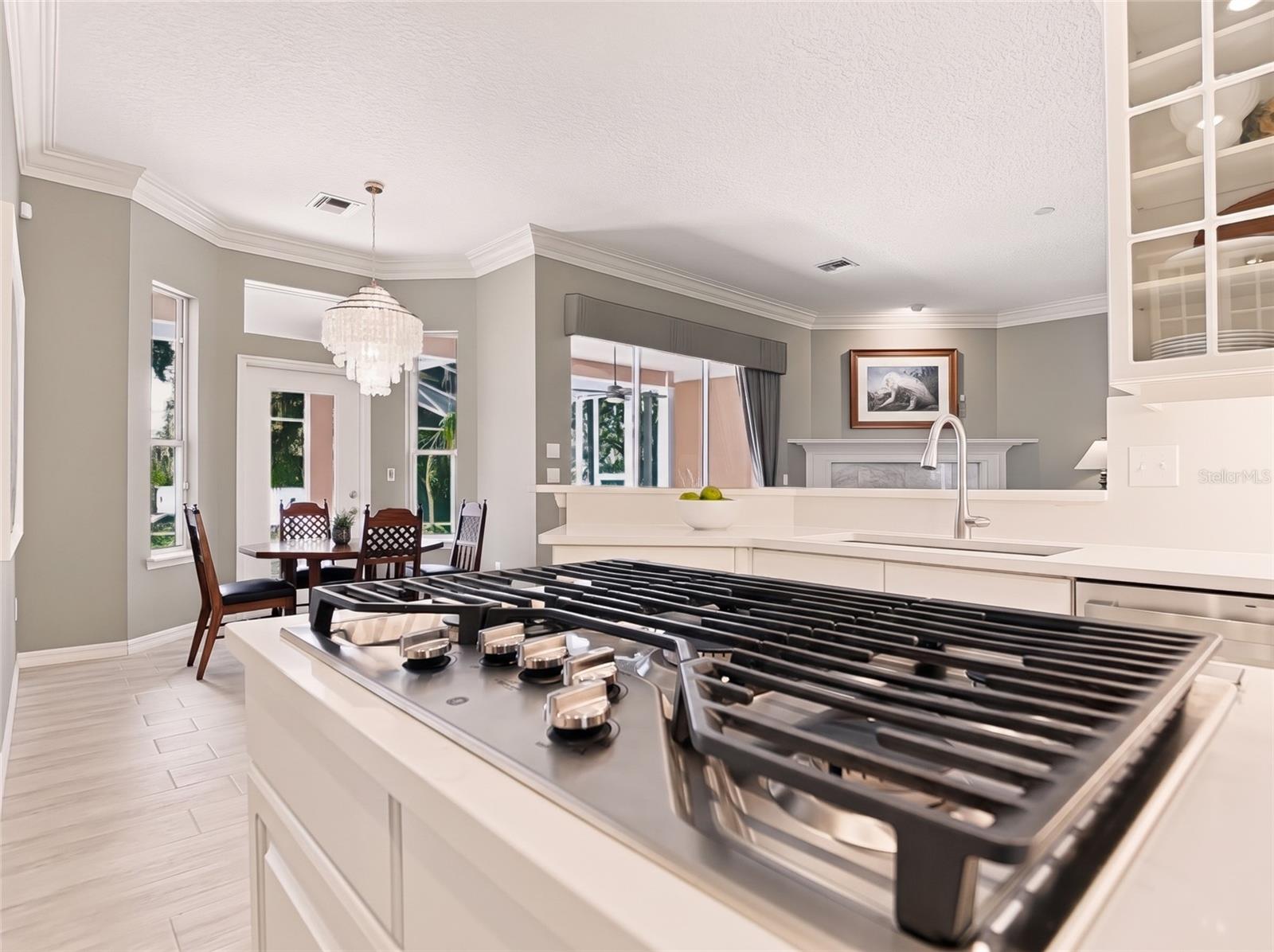 Gas cooktop with built-in ventilation