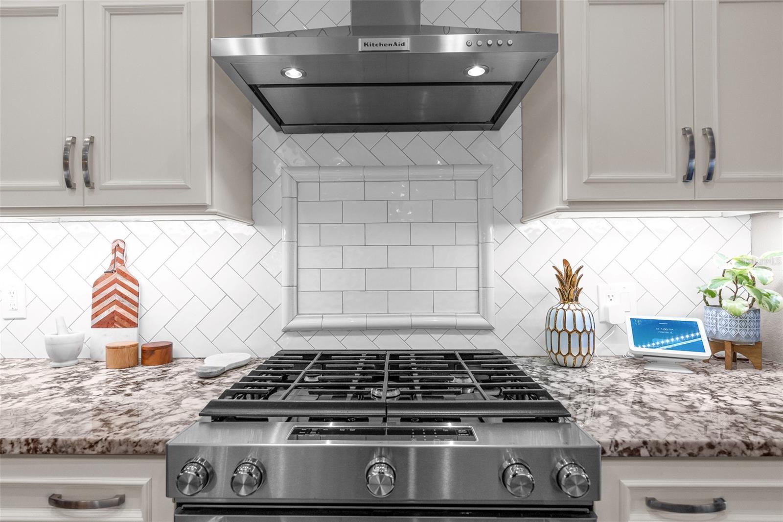 Gas Stove