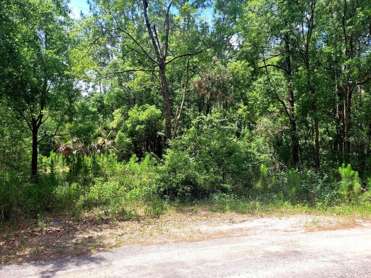 TROPICAL DRIVE, Eustis, FL 32726