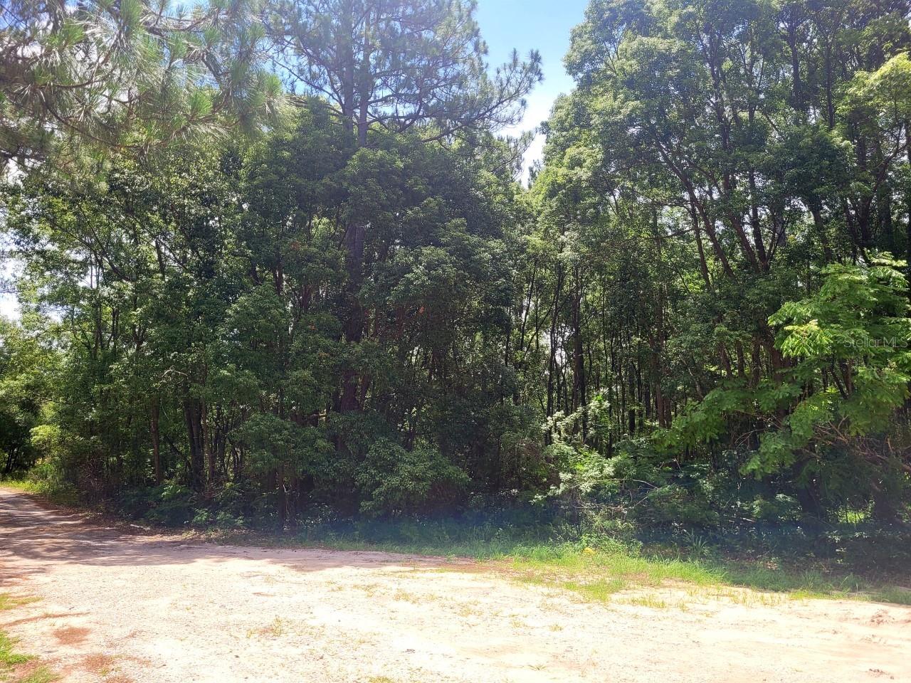 TROPICAL DRIVE, Eustis, FL 32726