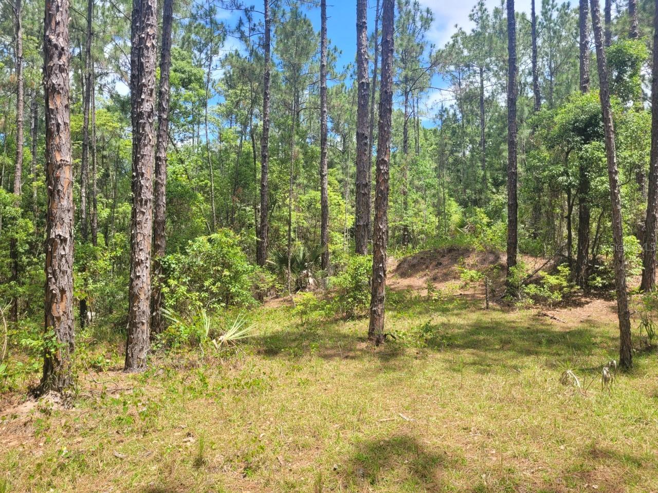 TROPICAL DRIVE, Eustis, FL 32726