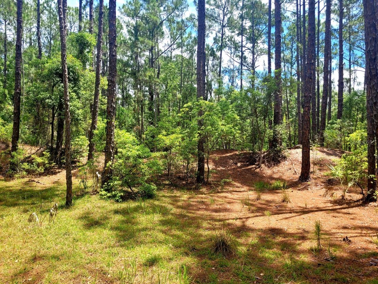 TROPICAL DRIVE, Eustis, FL 32726