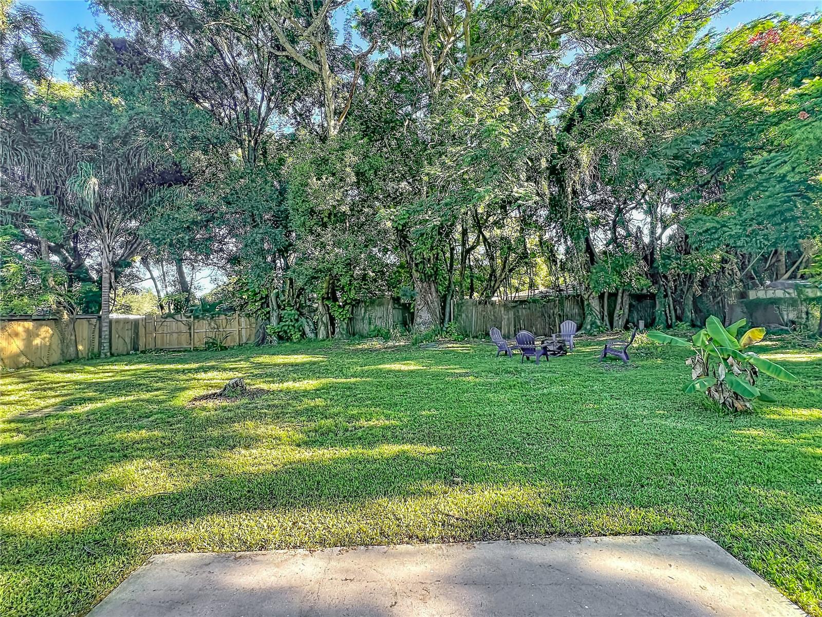 HUGE back yard!