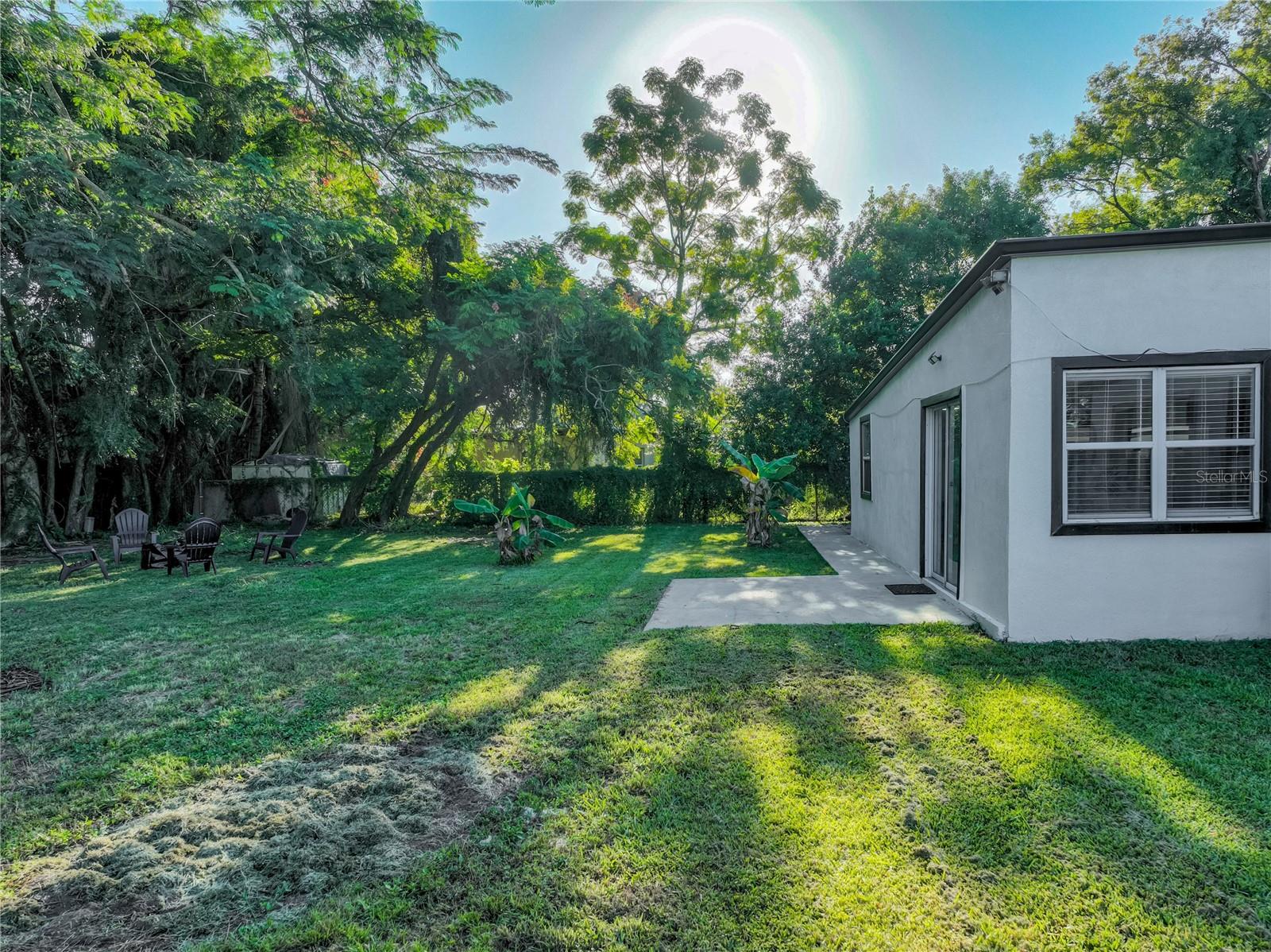 View from back corner of the house